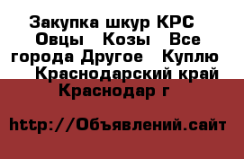 Закупка шкур КРС , Овцы , Козы - Все города Другое » Куплю   . Краснодарский край,Краснодар г.